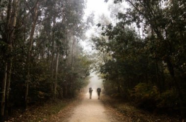 Cammino di Santiago de Compostela, un percorso non solo spirituale