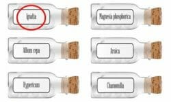 Ignatia amara: rimedio omeopatico contro la depressione, ma non solo…