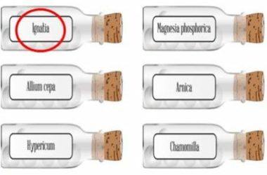 Ignatia amara: rimedio omeopatico contro la depressione, ma non solo…