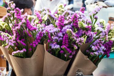 Tutto sul Limonium, per colorare di lilla il giardino e il balcone, chiamato anche Statice o Limonio