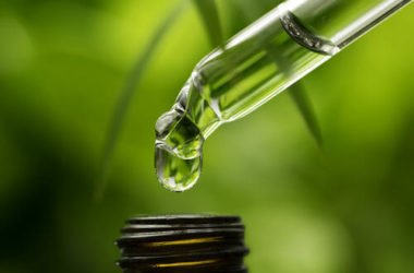 Sai cos’è la tintura madre? Ecco come si prepara e a cosa serve