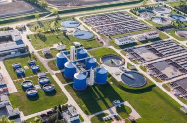 Cosa sono le biomasse e come vengono trasformate in energia: vantaggi e svantaggi