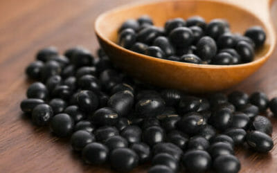 Soia nera, un legume da gustare in tante preparazioni dalle notevoli proprietà nutrizionali