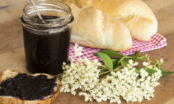 Come preparare la marmellata di sambuco in casa: ricetta ed avvertenze
