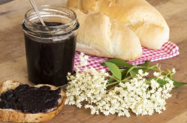 Come preparare la marmellata di sambuco in casa: ricetta ed avvertenze