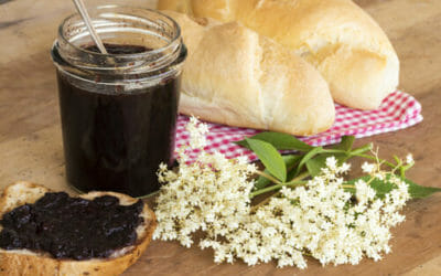 Come preparare la marmellata di sambuco in casa: ricetta ed avvertenze