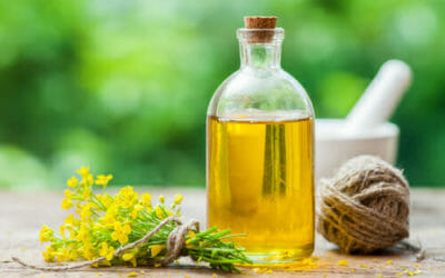 Quello che c’è da sapere sull’olio di colza e sulla sua variante dell’olio di canola
