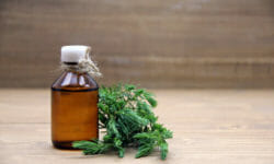 Proprietà e utilizzi dell’olio essenziale di ginepro