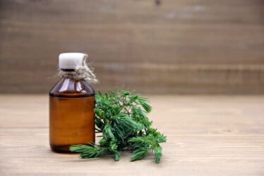 Proprietà e utilizzi dell’olio essenziale di ginepro