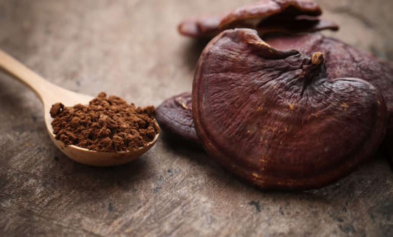 tutte le virtù del Ganoderma o reishi