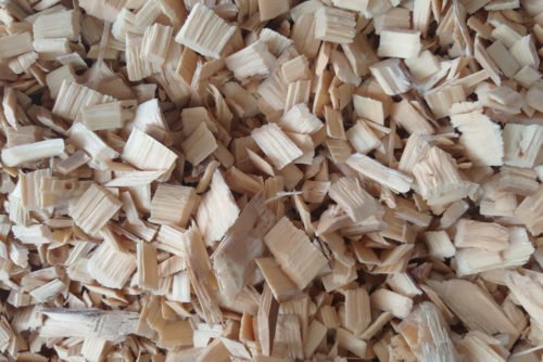 La cellulosa deriva dal legno ed è usata per fare carta, abiti, mobili, cibi e addirittura come biocarburante: conosciamola meglio