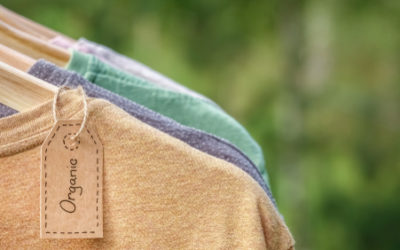 Cosa è classificabile come abbigliamento biologico e cosa non lo è? La guida pratica
