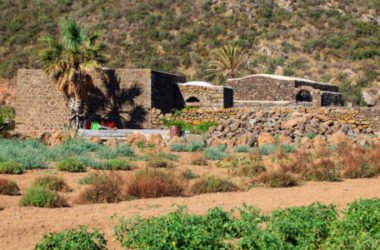 Dall’uva Zibibbo un eccellente vino da meditazione e non solo, prodotto soprattutto a Pantelleria