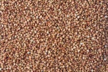 Quello che c’è da sapere sul sobacha, un vero e proprio elisir di benessere che arriva dal Giappone