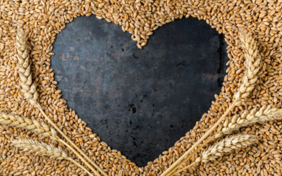 Quali sono gli alimenti ricchi di zinco: ecco i dieci cibi che ne sono più ricchi