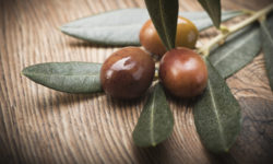 Olive taggiasche: dal sapore unico e utili contro il colesterolo cattivo