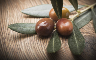 Olive taggiasche: dal sapore unico e utili contro il colesterolo cattivo