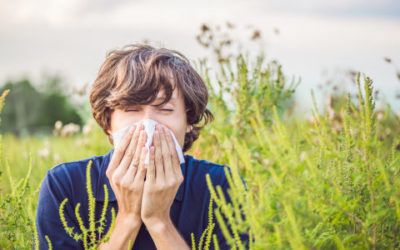 Cosa causa l’allergia alle graminacee, come si manifesta e quali sono le cure ed i rimedi naturali