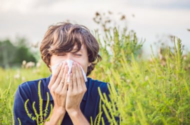 Cosa causa l’allergia alle graminacee, come si manifesta e quali sono le cure ed i rimedi naturali