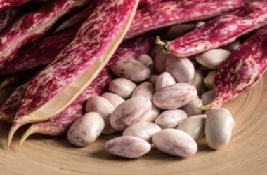 Tutto sui fagioli borlotti: dalle proprietà nutritive alle ricette consigliate