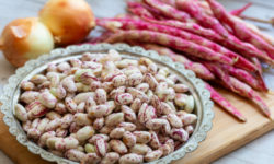 Tutto sui fagioli borlotti: dalle proprietà nutritive alle ricette consigliate
