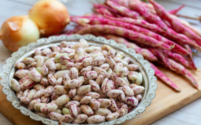 Tutto sui fagioli borlotti: dalle proprietà nutritive alle ricette consigliate