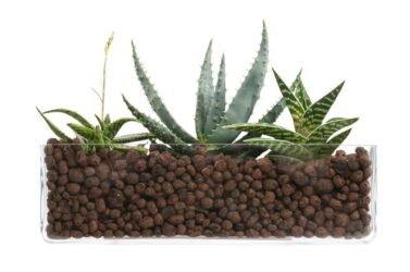 Argilla espansa per giardinaggio ed edilizia: ecco quello che c’è da sapere