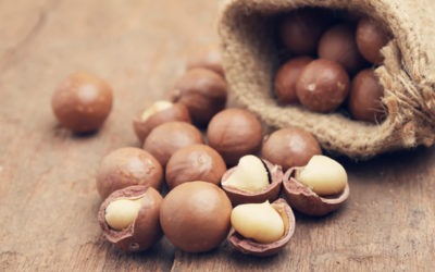 Quello che c’è da sapere sulle noci di Macadamia, un alimento dalle proprietà interessanti che non tutti conoscono