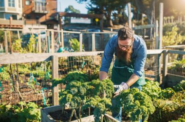 Agricoltura e orti urbani per socializzare e condividere tra cittadini, anche in azienda!