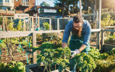 Agricoltura e orti urbani per socializzare e condividere tra cittadini, anche in azienda!
