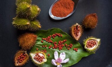 I semi di annatto: una spezia e un colorante per gli alimenti e i tessuti