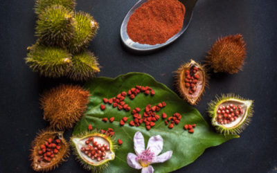 Conoscete i semi di annatto? Ricavati dall’achiote, sono una spezia e un colorante per gli alimenti e i tessuti