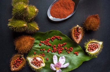Conoscete i semi di annatto? Ricavati dall’achiote, sono una spezia e un colorante per gli alimenti e i tessuti