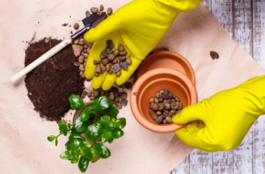 Argilla espansa per giardinaggio ed edilizia: ecco quello che c’è da sapere