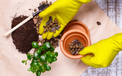 Argilla espansa per giardinaggio ed edilizia: ecco quello che c’è da sapere