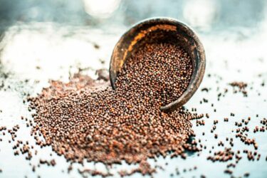 Mostarda: i segreti e le varianti di questa squisita salsa di origini francesi