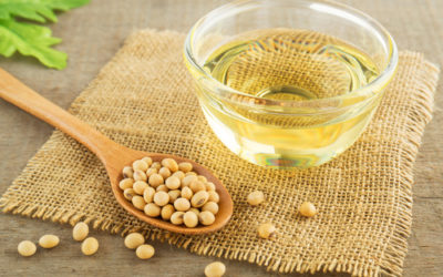 Quello che c’è da sapere sull’olio di soia: usi, benefici e avvertenze relative a questo olio vegetale