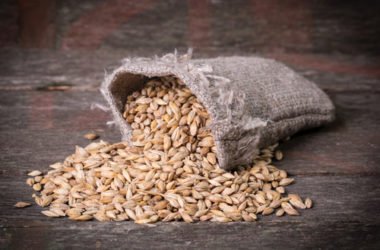 Malto d’orzo, un dolcificante naturale che possiamo usare al posto dello zucchero… e non solo!