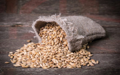 Malto d’orzo, un dolcificante naturale che possiamo usare al posto dello zucchero… e non solo!