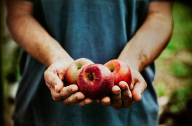 Frutta biologica: vantaggi rispetto alla frutta “normale”