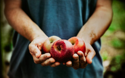 Frutta biologica: vantaggi rispetto alla frutta “normale”