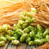 Malto: proprietà e usi del dolcificante naturale ricavato dai cereali