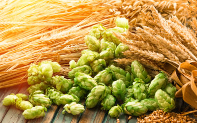 Malto: proprietà e usi del dolcificante naturale ricavato dai cereali