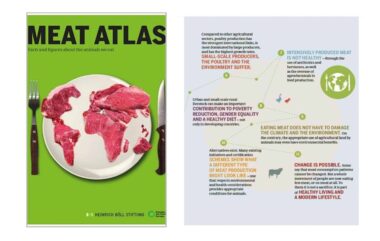 The Meat Atlas, il libro che ci dice tutto sul mangiare carne