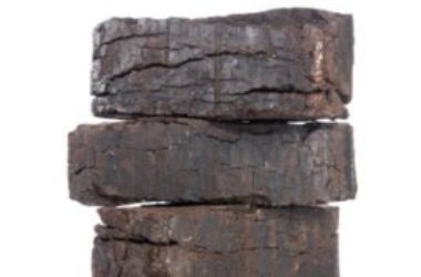 Scopriamo tutto sull’uso della torba e le sue proprietà nutritive per le piante