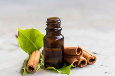 Tutto sull’olio di cannella, ricco di proprietà, può profumare l’ambiente ed essere aggiunto ai dolci