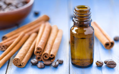 Tutto sull’olio di cannella, ricco di proprietà, può profumare l’ambiente ed essere aggiunto ai dolci