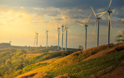Breve storia dell’energia eolica: all’origine della via del vento