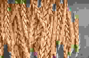 Scopriamo la spelta, un cereale antico chiamato anche gran farro, antenato del grano tenero