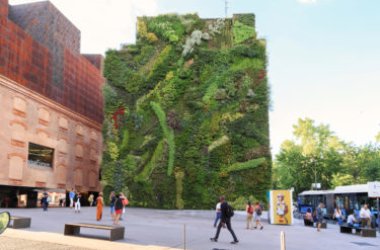 Il giardino verticale: i migliori esempi e le tecniche di questa soluzione per rendere green la città
